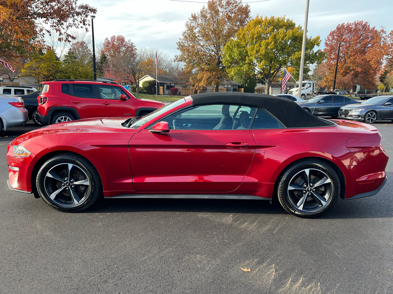 Used 2020 Ford Mustang Premium w/ Equipment Group 101A image 6
