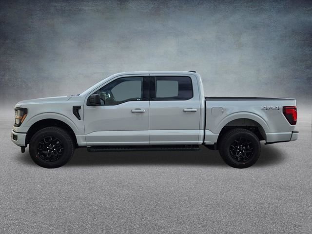 New 2026 Ford F150 XLT w/ XLT Black Appearance Package image 4