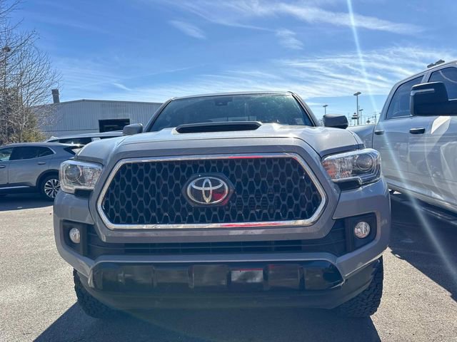 Used 2019 Toyota Tacoma TRD Sport w/ Technology Package image 3