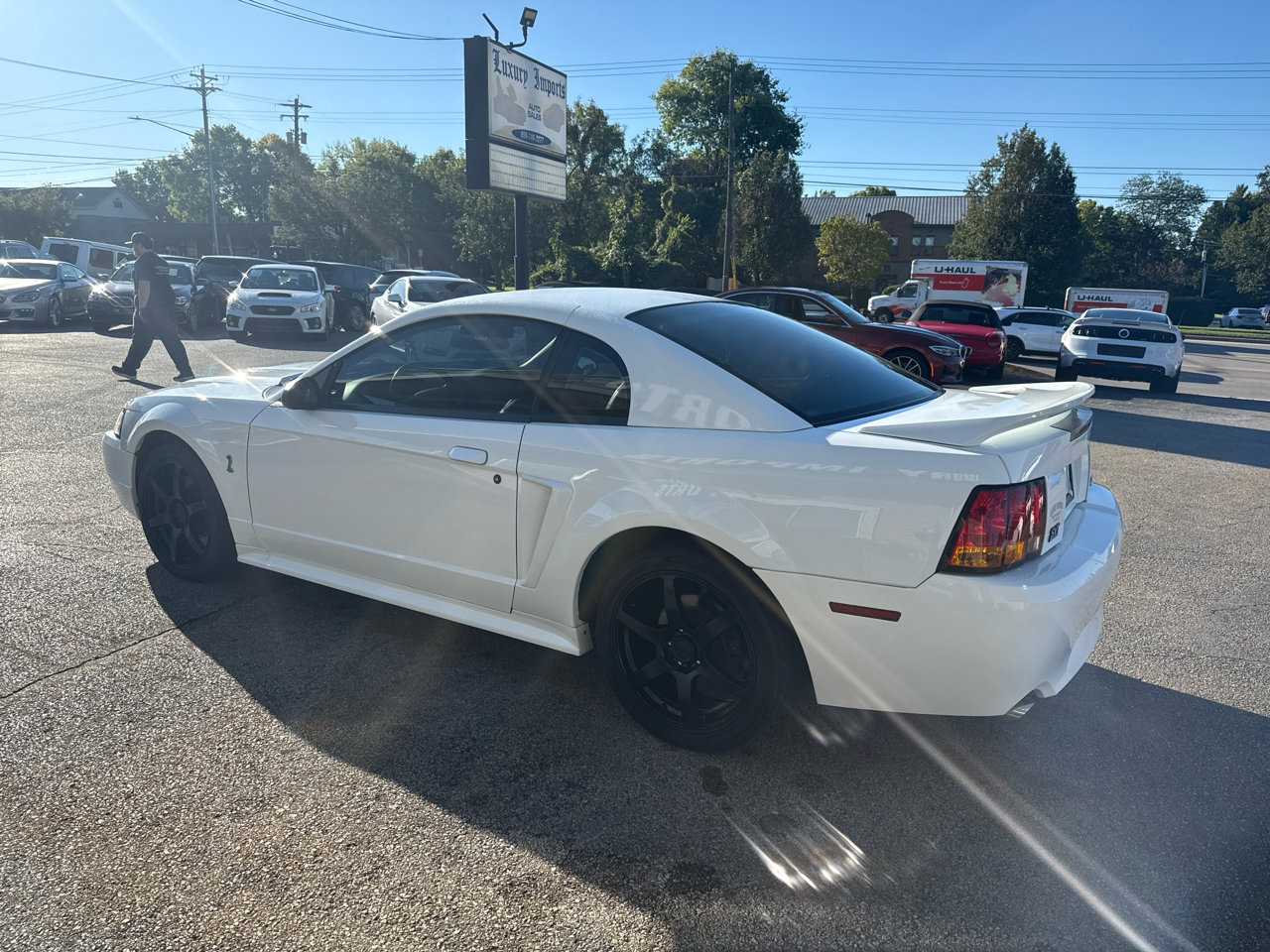 Used 1999 Ford Mustang Cobra image 9