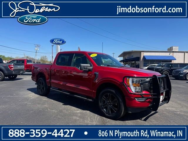 Used 2021 Ford F150 XLT w/ Equipment Group 302A High AWD/4WD image 1