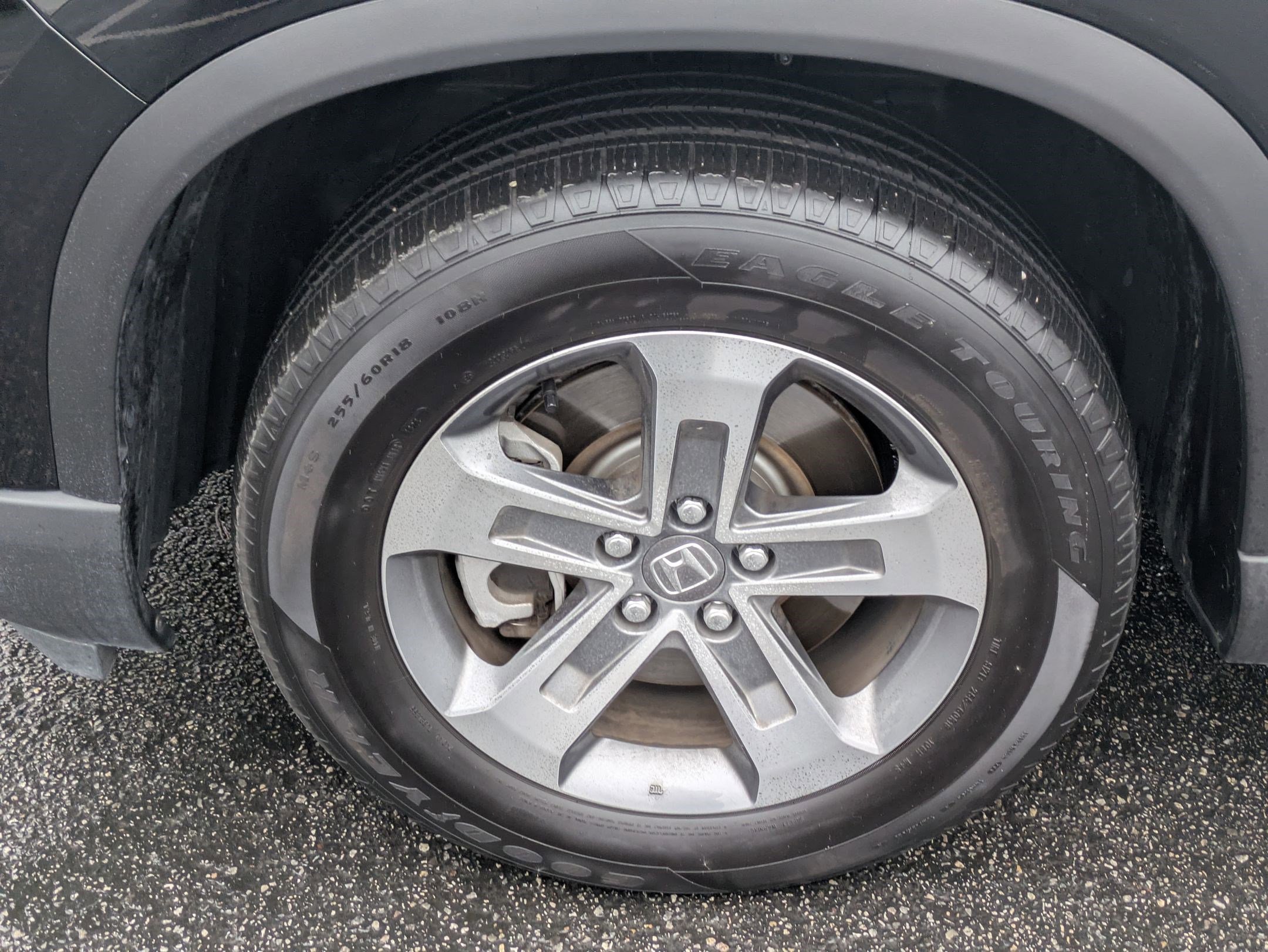 Used 2025 Honda Pilot EX-L image 13