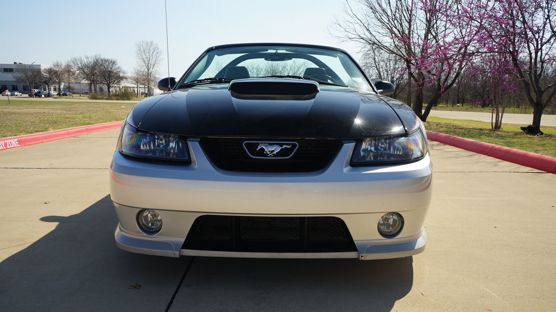 Used 2003 Ford Mustang GT image 24