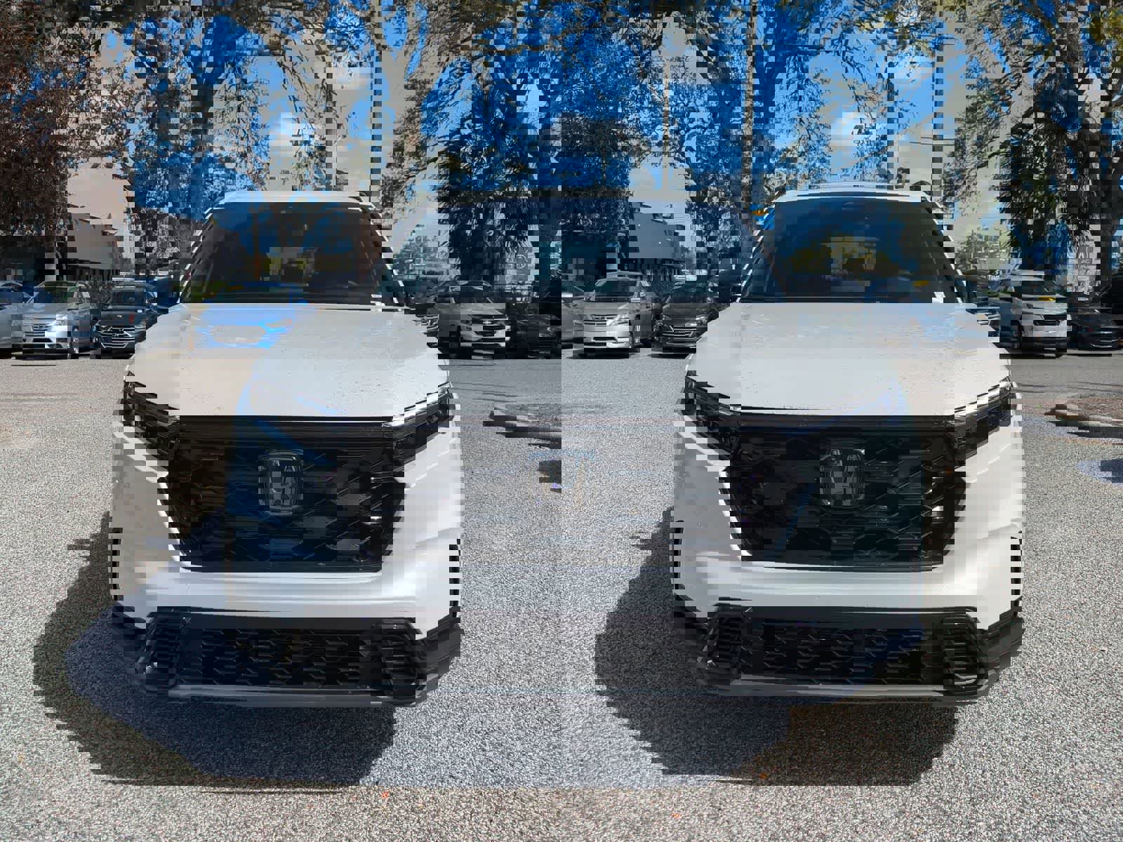 Used 2025 Honda CR-V Sport image 8