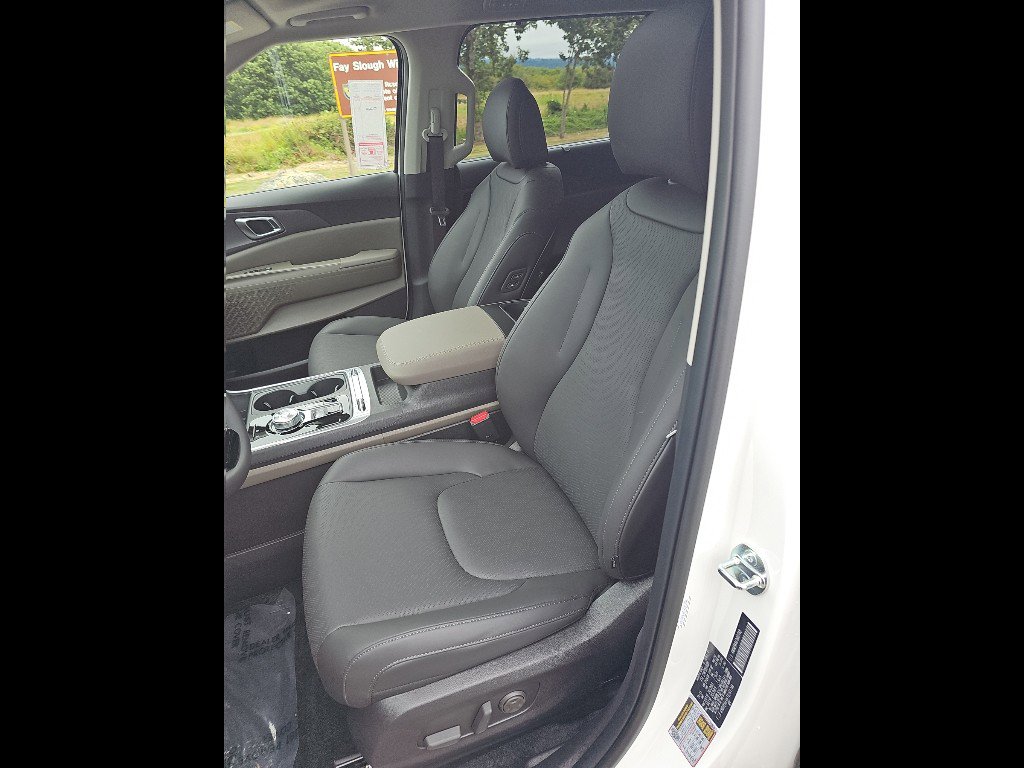 New 2026 Kia Carnival SX Prestige image 24