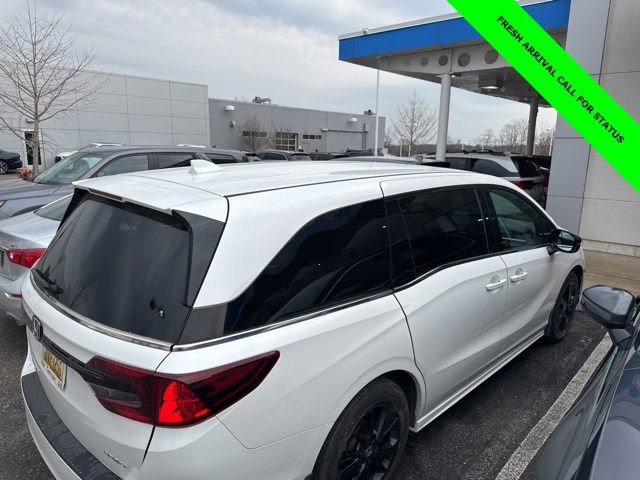 Used 2023 Honda Odyssey Sport image 7