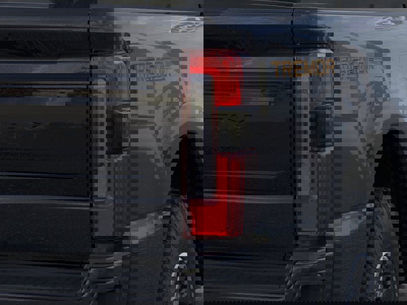New 2025 Ford F350 Platinum w/ Tremor Off-Road Package image 21