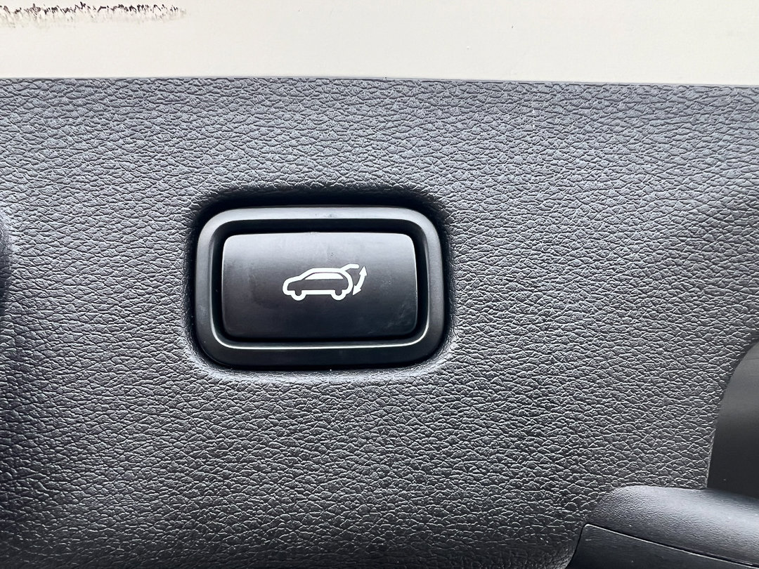 Used 2024 Kia Sportage X-Pro Prestige image 6