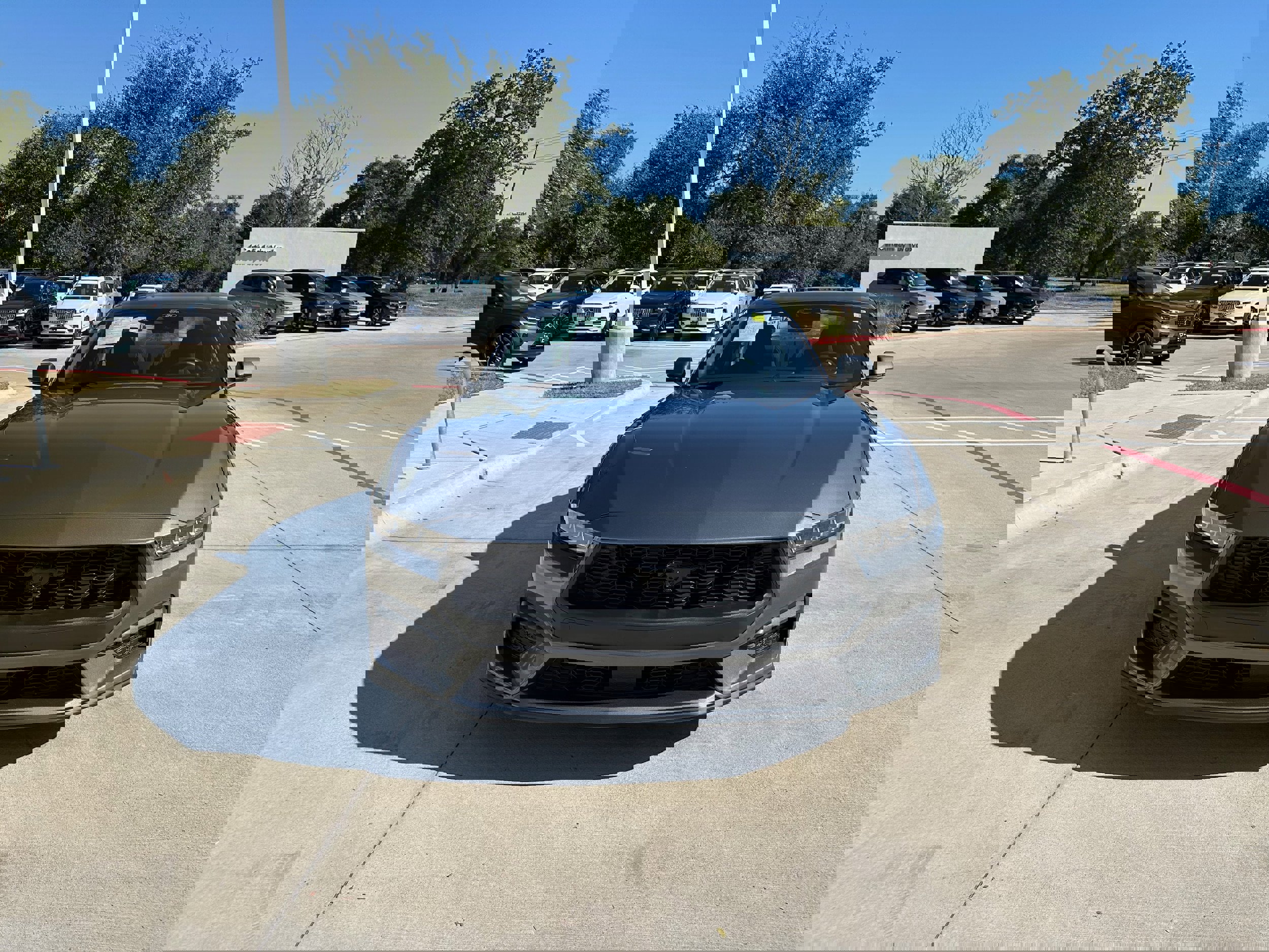 Used 2024 Ford Mustang EcoBoost image 8