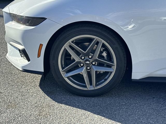 New 2026 Ford Mustang Coupe RWD image 8