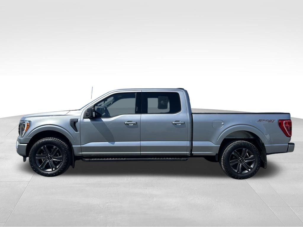 Used 2023 Ford F150 XLT w/ Equipment Group 302A High AWD/4WD image 13