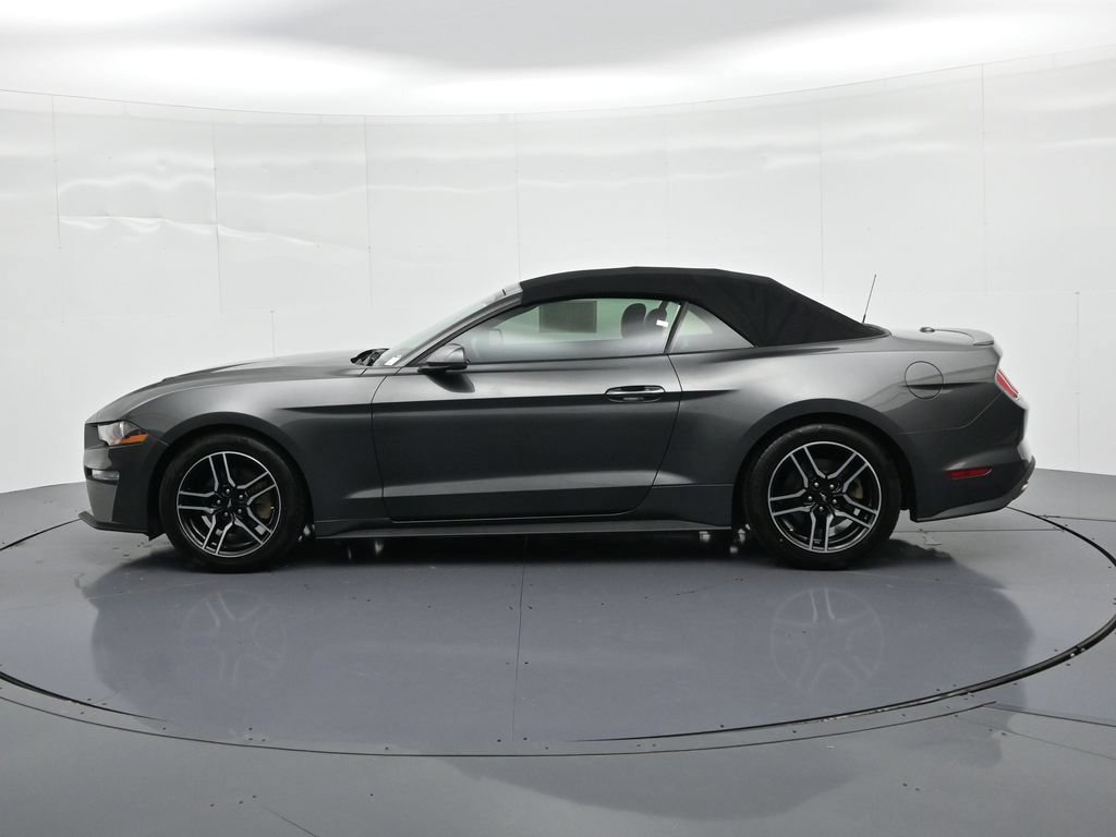 Certified 2019 Ford Mustang Premium RWD image 9