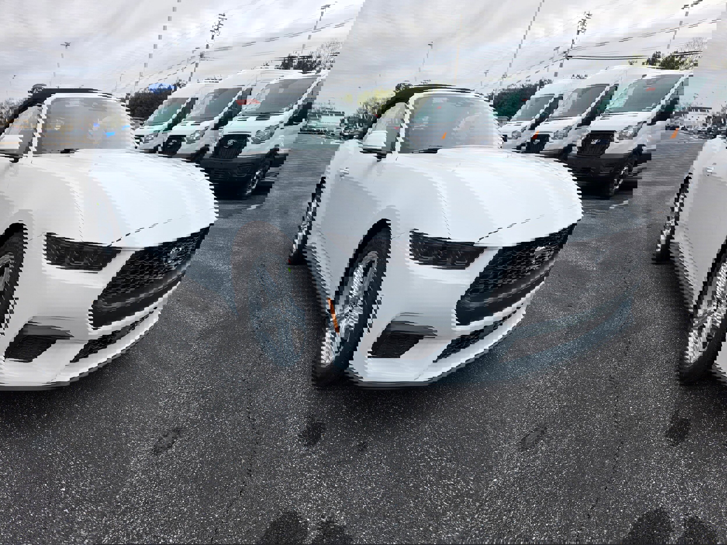 New 2026 Ford Mustang Premium w/ Anti-Theft Package image 14