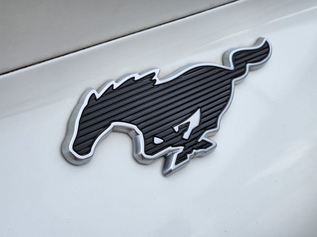 Used 2021 Ford Mustang Mach-E Premium RWD image 13