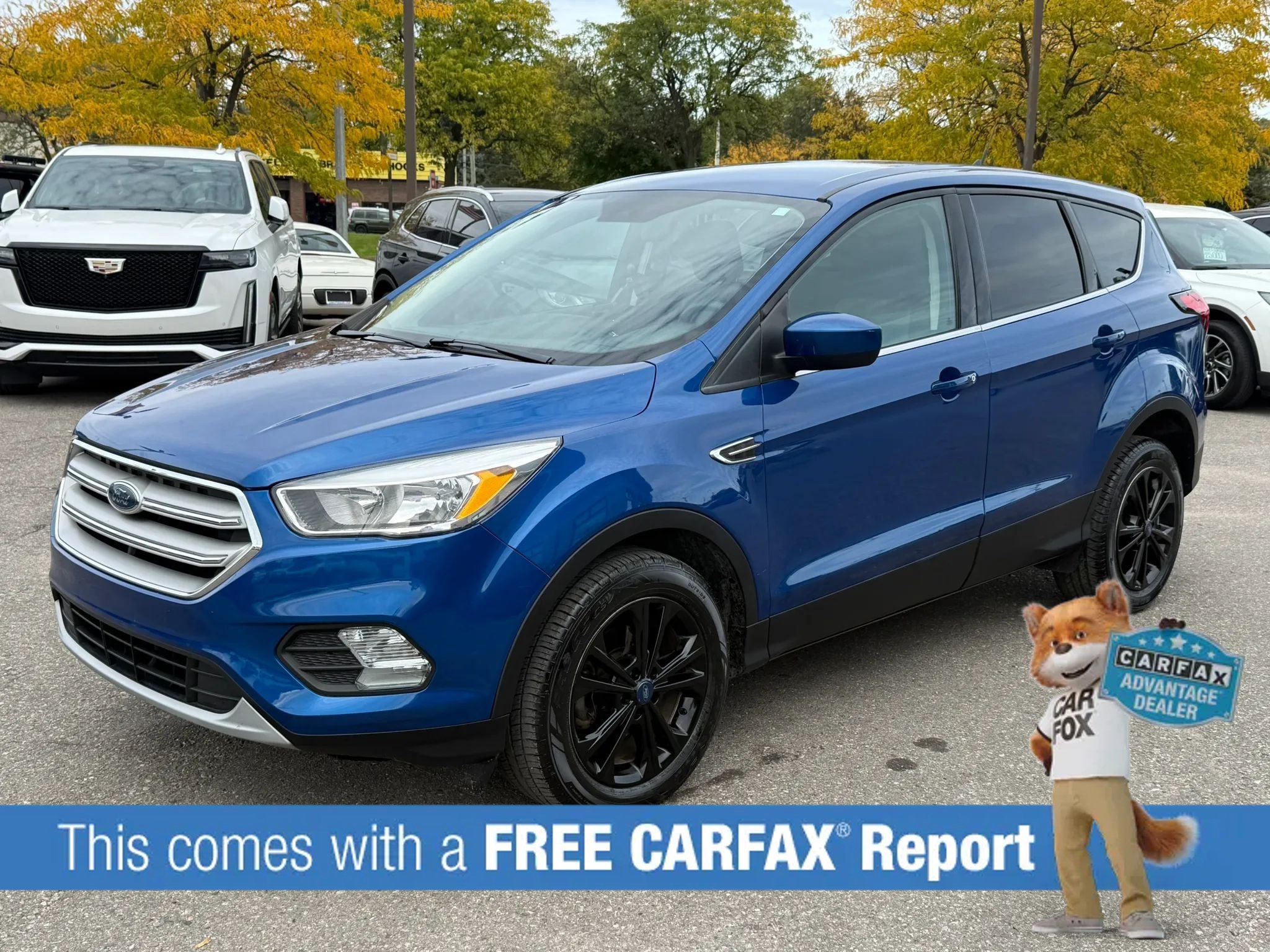 Used 2019 Ford Escape SE