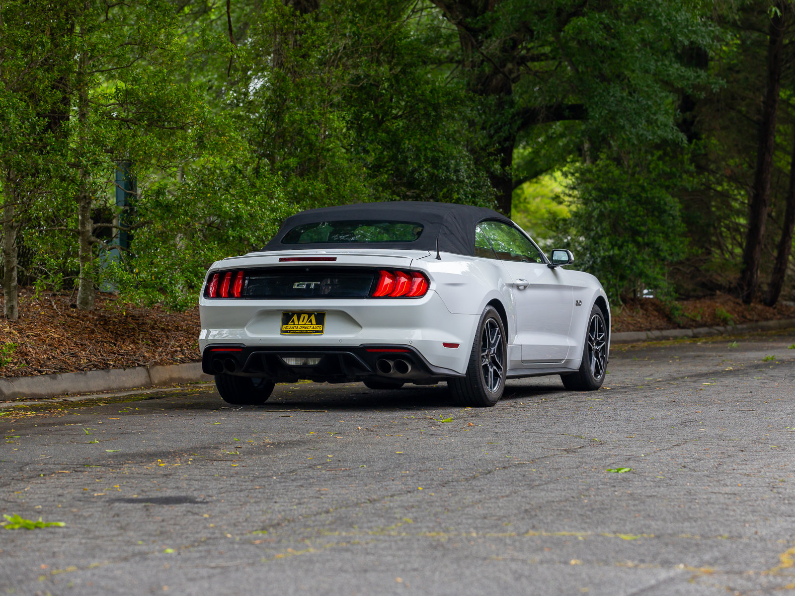 Used 2019 Ford Mustang GT Premium w/ Equipment Group 401A RWD image 46