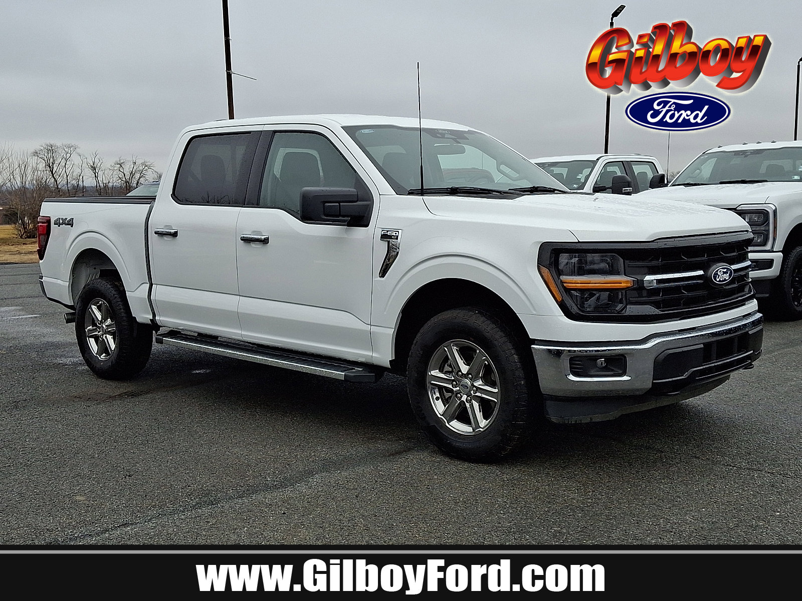 Used 2025 Ford F150 XLT w/ Equipment Group 301A Standard image 1