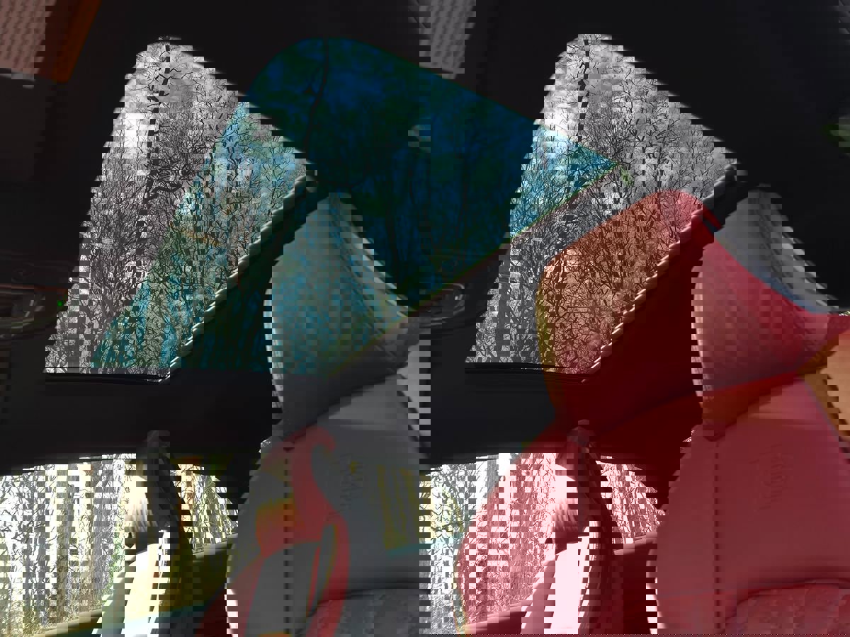 Used 2022 Audi S5 Premium Plus w/ Premium Plus image 55