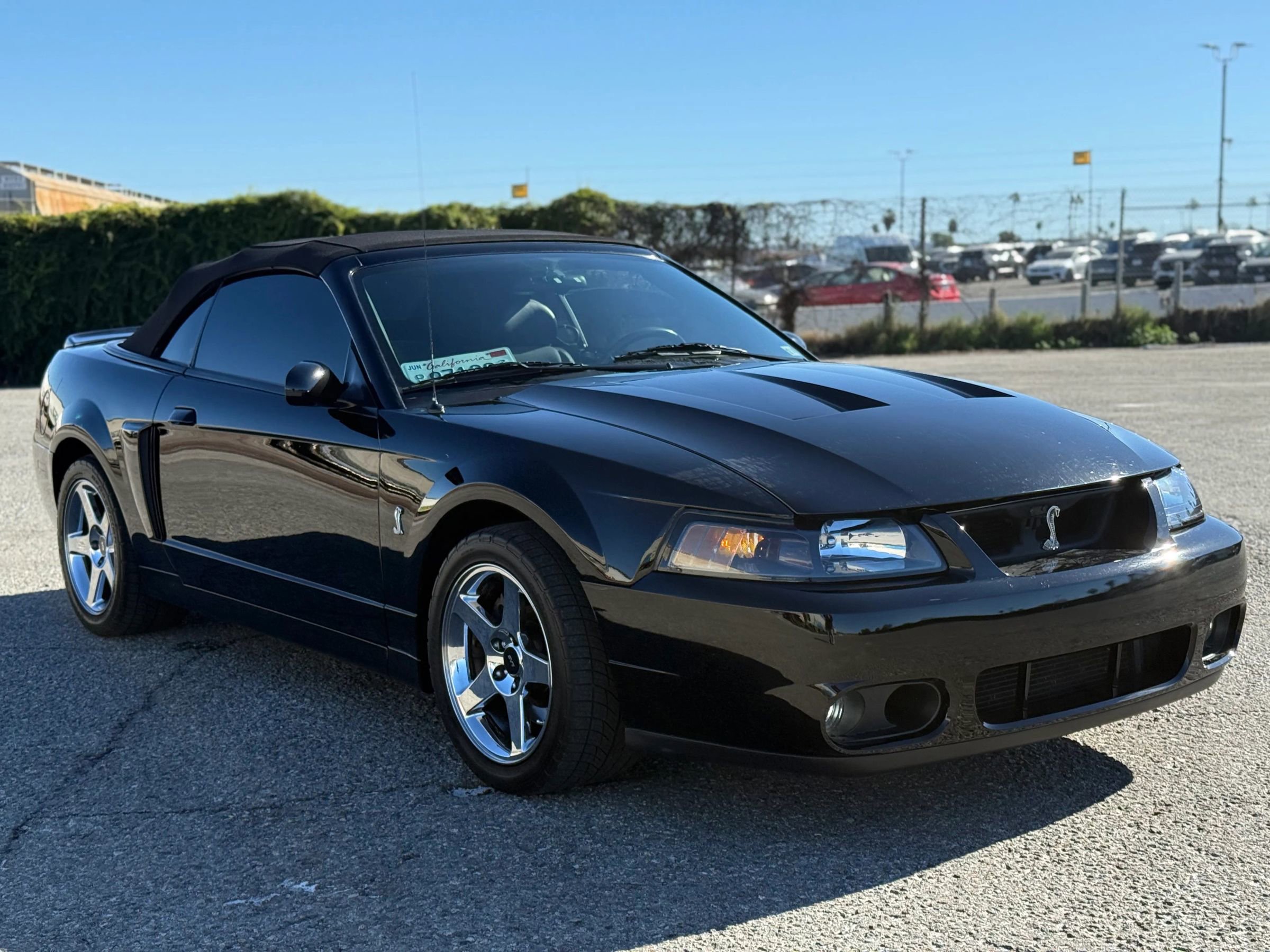 Used 2004 Ford Mustang Cobra image 10