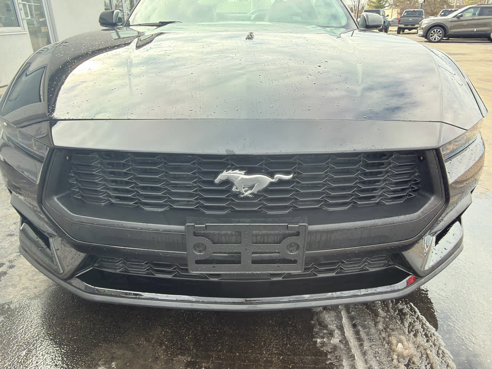 New 2026 Ford Mustang Premium image 6