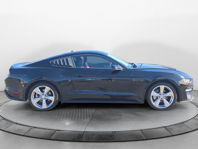 Used 2019 Ford Mustang Premium w/ Equipment Group 201A image 6