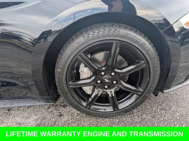Used 2018 Ford Mustang GT w/ Equipment Group 301A RWD image 12