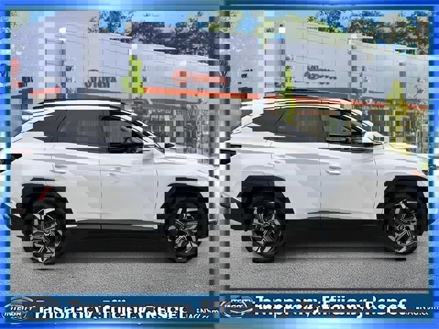 Used 2022 Hyundai Tucson Limited w/ Winter Package image 2