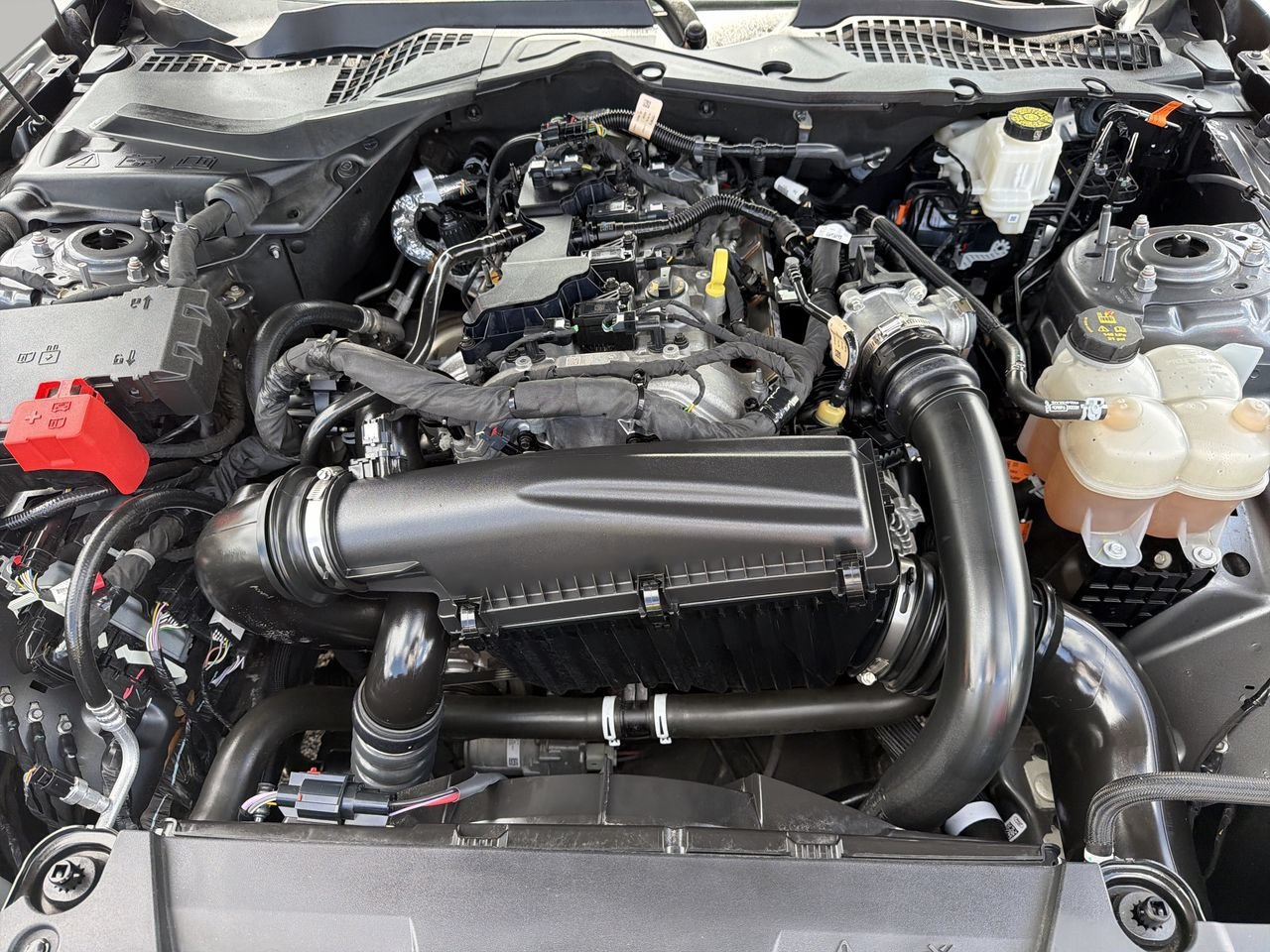 Used 2024 Ford Mustang Coupe RWD image 10