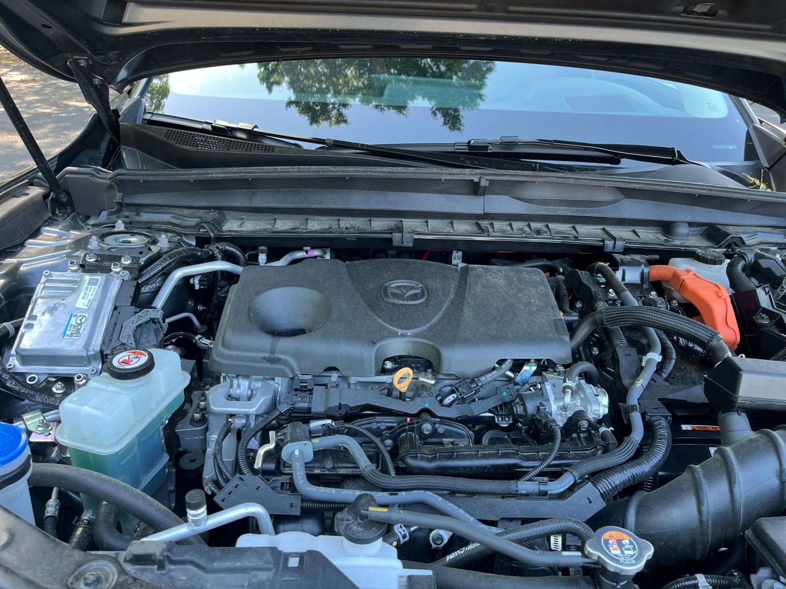Used 2025 MAZDA CX-50 2.5 Hybrid w/ Premium Plus Pkg AWD/4WD image 34