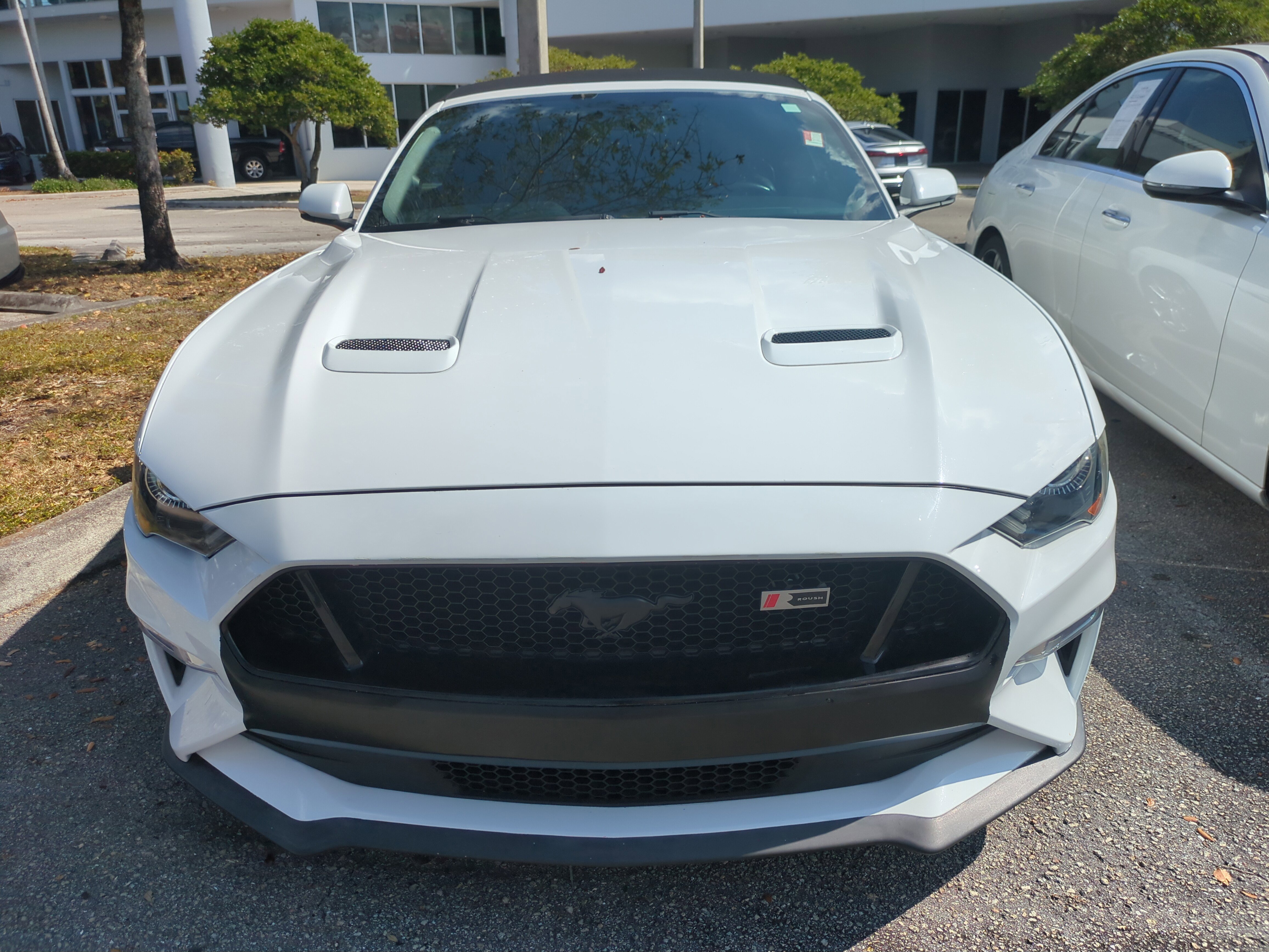 Used 2019 Ford Mustang GT Premium image 3
