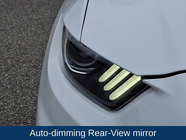 Used 2016 Ford Mustang Shelby GT350 w/ Technology Package RWD image 28