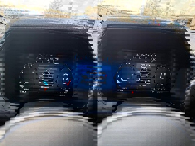 Used 2025 Ford F150 XLT w/ Equipment Group 301A Standard image 17