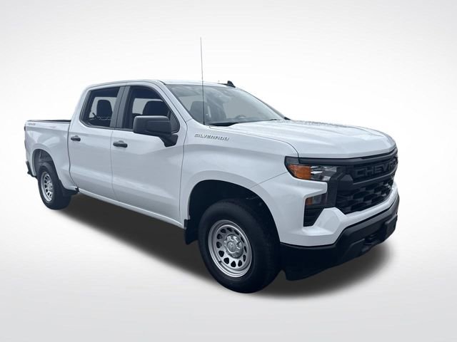 Used 2024 Chevrolet Silverado 1500 W/T w/ WT Fleet Convenience Package image 8