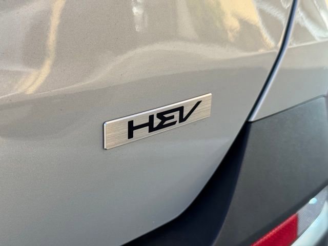 Used 2025 Kia Carnival SX w/ SX Dark Edition Package image 38