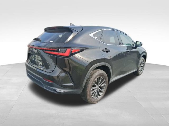 Used 2024 Lexus NX 350 AWD image 6