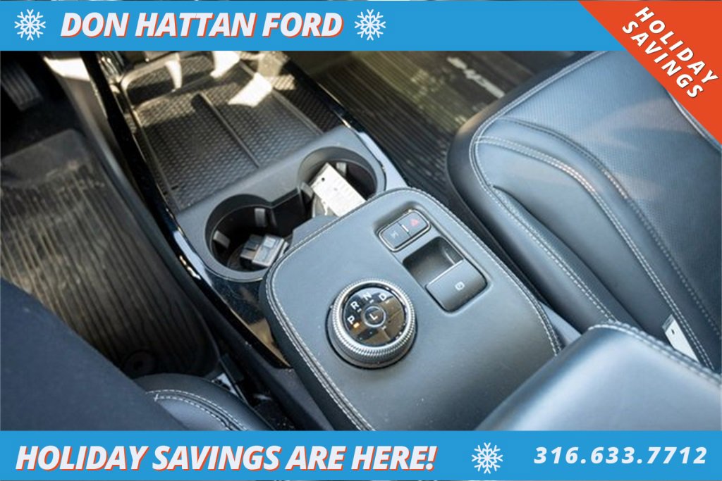 Used 2021 Ford Mustang Mach-E Premium image 15