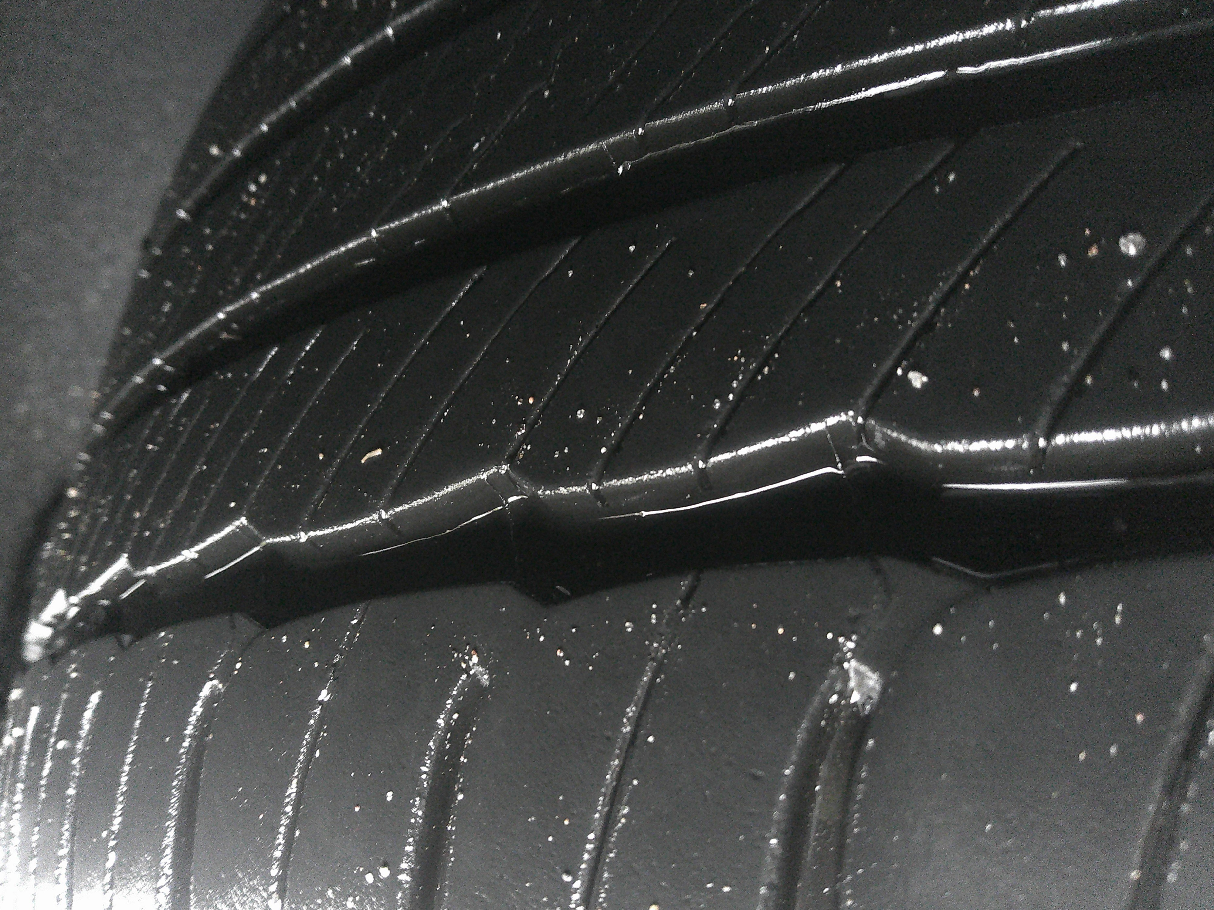 Used 2025 Honda Accord Touring image 14