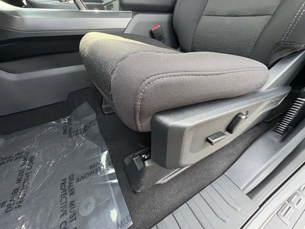 New 2025 Ford F150 XLT w/ Equipment Group 302A MID image 38