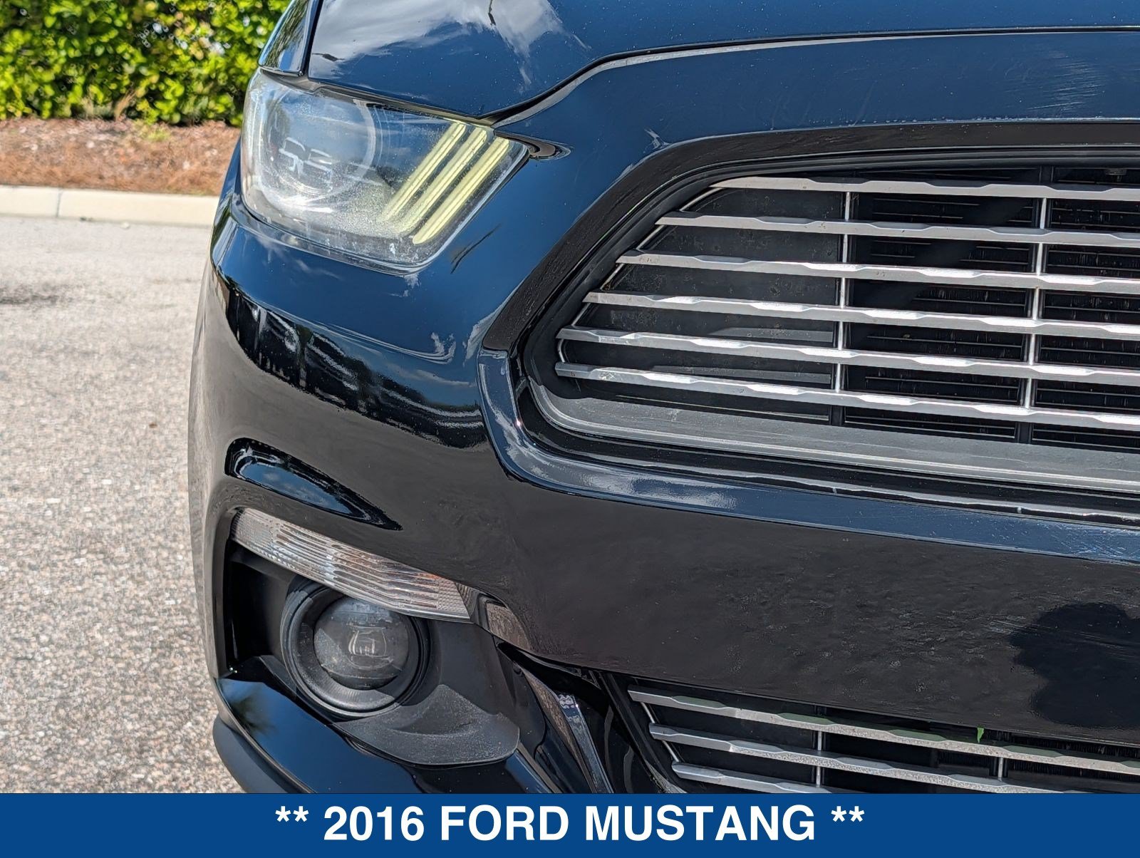 Used 2016 Ford Mustang Premium w/ Equipment Group 201A RWD image 10