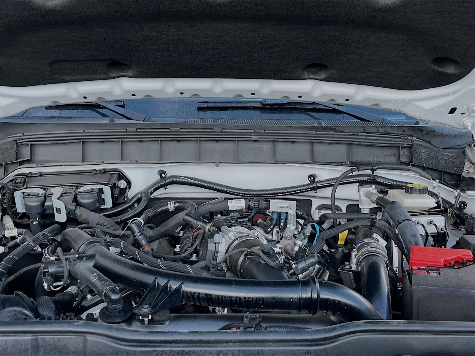 Used 2022 Ford Bronco Badlands image 31