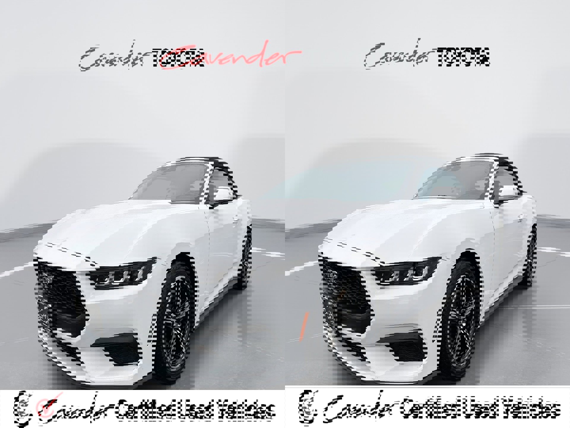 Used 2024 Ford Mustang Premium