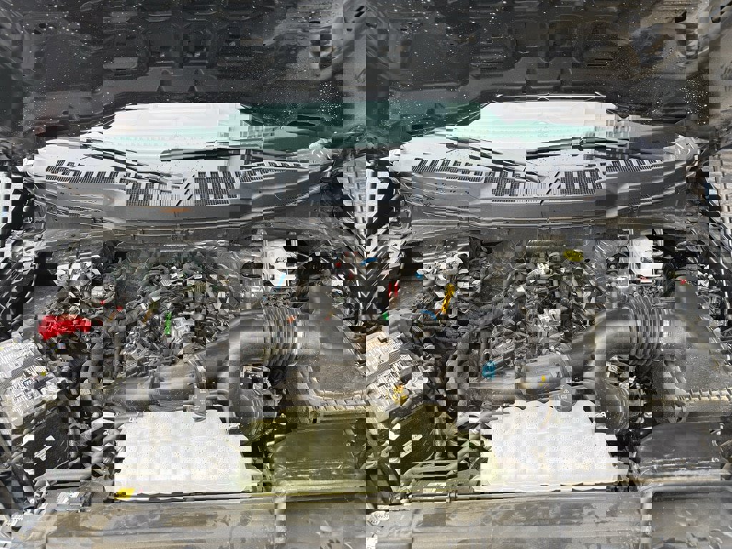 New 2025 Ford F150 XL w/ Equipment Group 103A High image 33