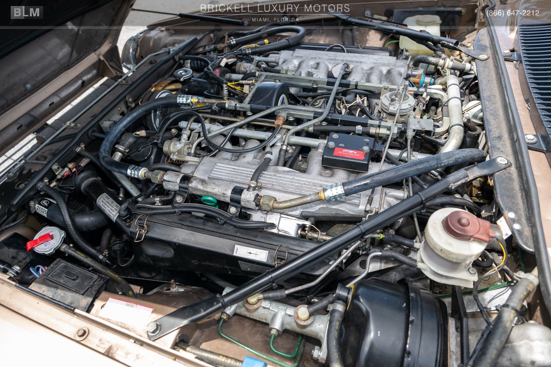 Used 1987 Jaguar XJS V12 Coupe RWD image 31