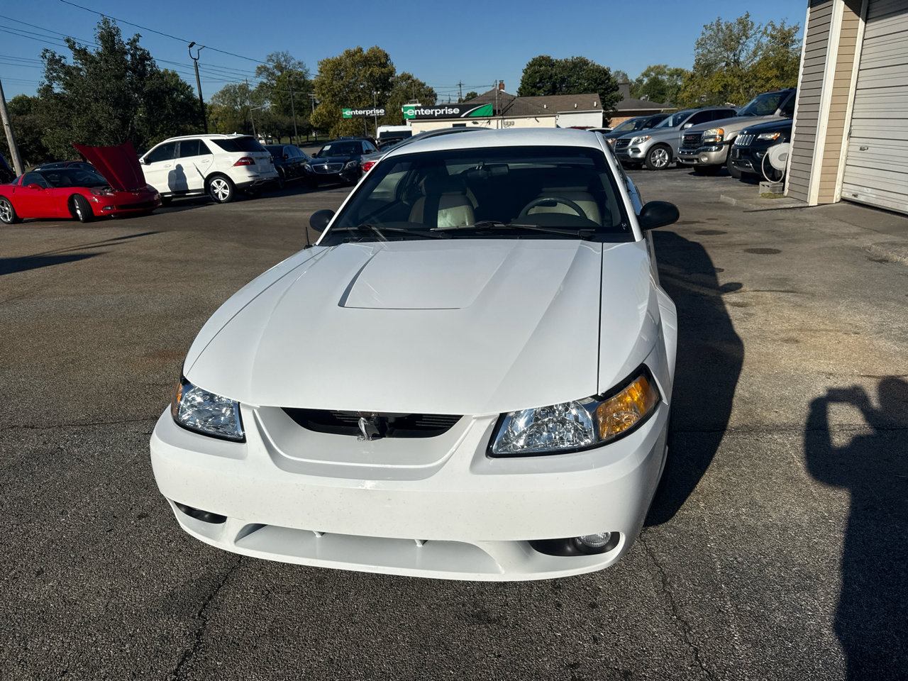 Used 1999 Ford Mustang Cobra image 13