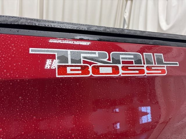 Used 2019 Chevrolet Silverado 1500 Custom Trail Boss w/ Custom Convenience Package AWD/4WD image 14