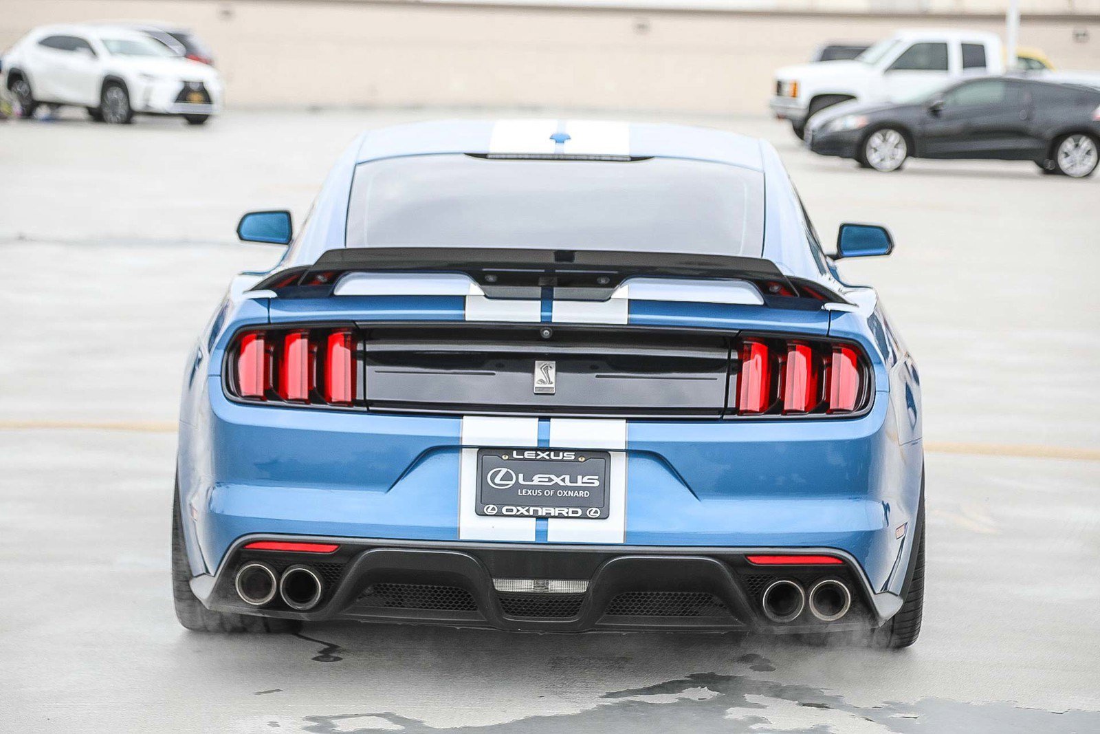 Used 2020 Ford Mustang Shelby GT350 image 6