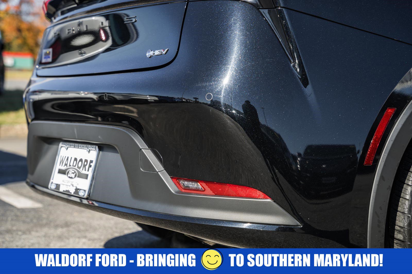 Used 2024 Toyota Prius image 6