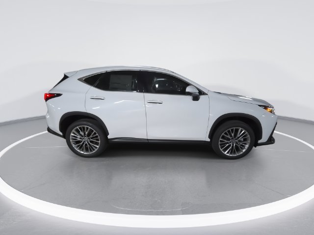 Certified 2026 Lexus NX 350 AWD w/ Cold Area Package image 9