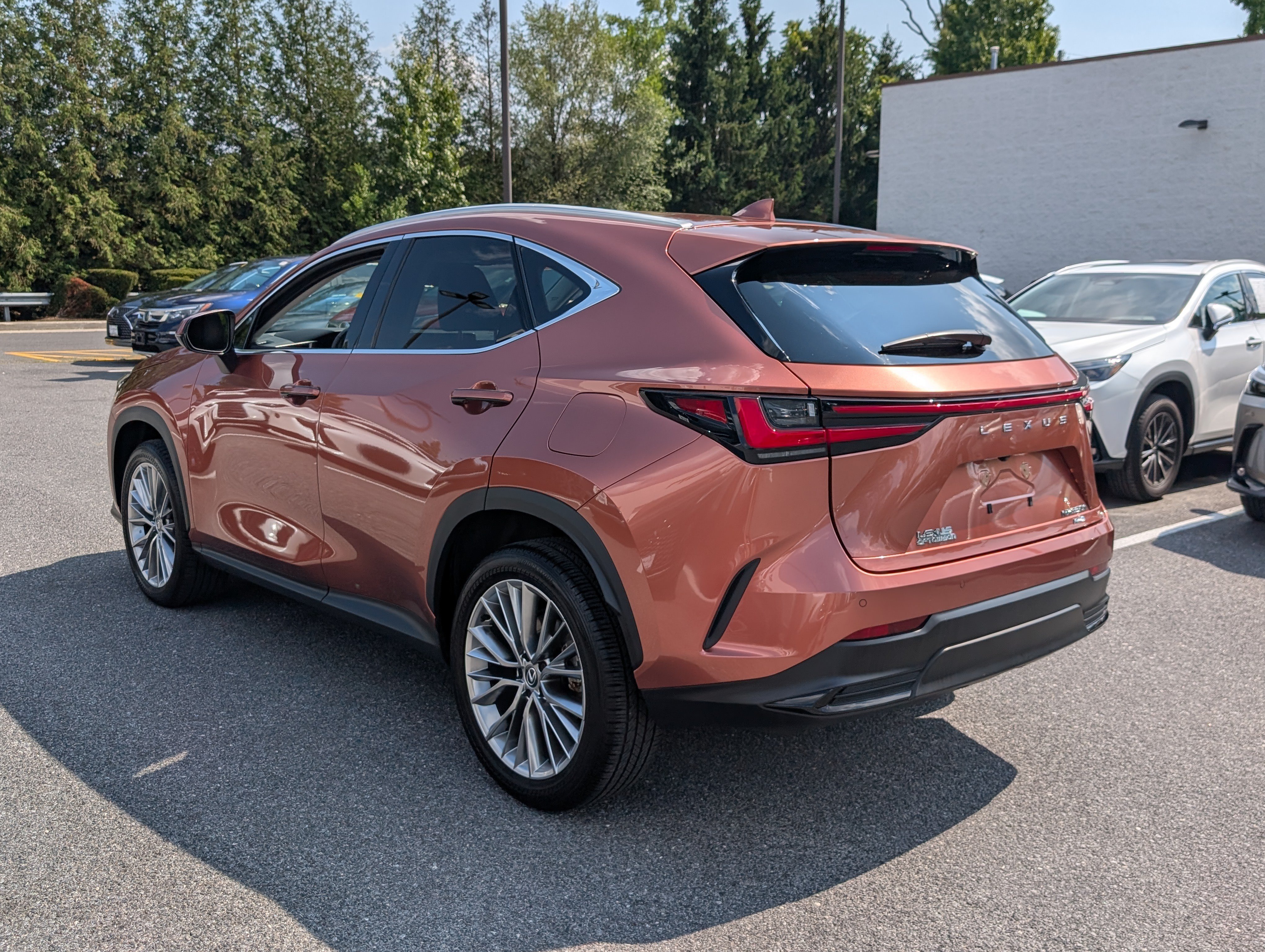 Certified 2025 Lexus NX 350h AWD w/ Cold Area Package image 5
