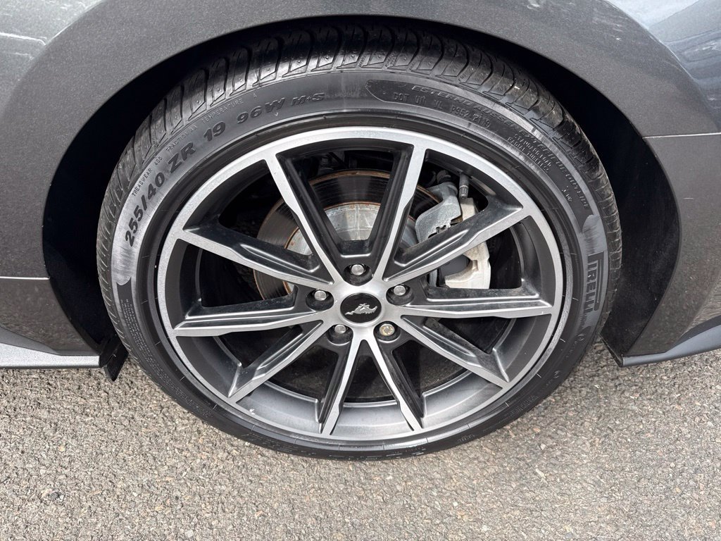 Certified 2019 Ford Mustang Premium w/ Equipment Group 201A RWD image 8